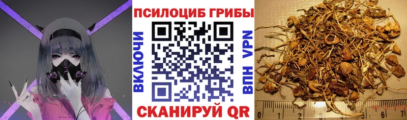 Галлюциногенные грибы Magic Shrooms  купить закладку  Красновишерск 